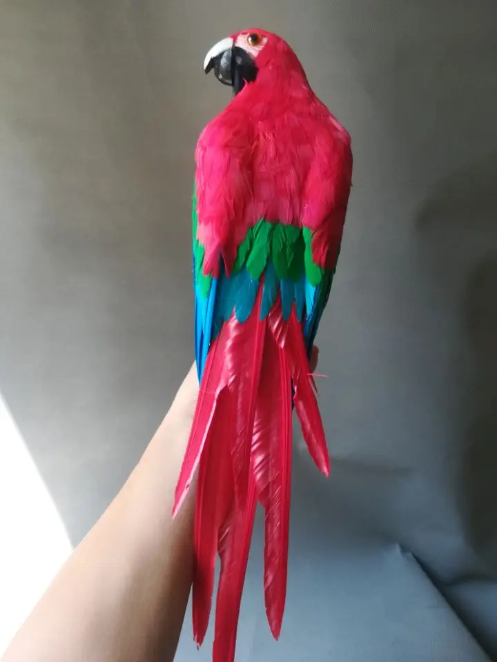 Real Life Bird Red Feathers Parrot Model Large 50cm Opening Wings