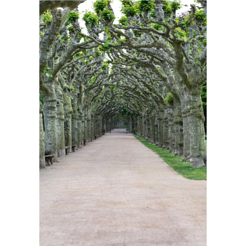 

Laeacco Old Tree Flowers Spring Way Party Baby Portrait Scenic Photography Backdrops Photographic Backgrounds For Photo Studio