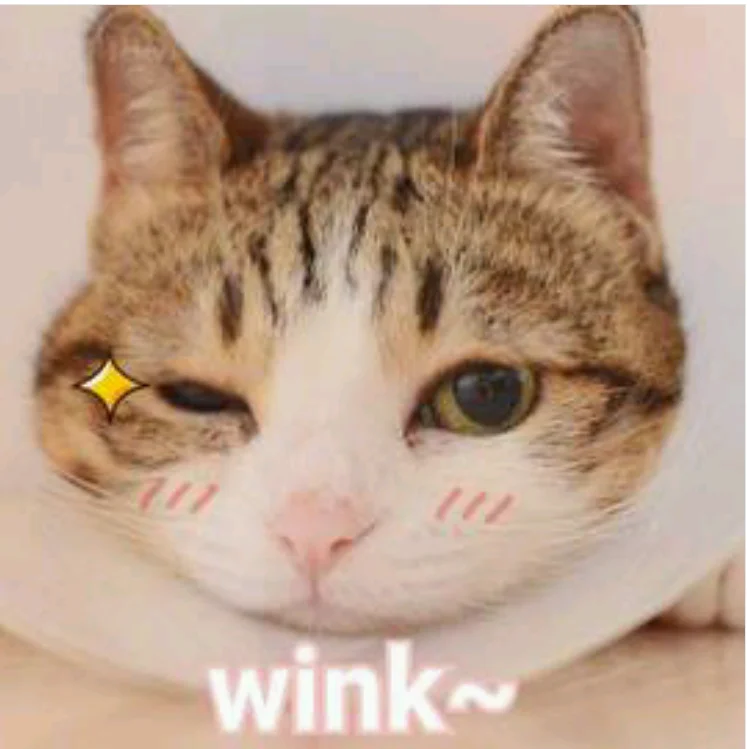 xx