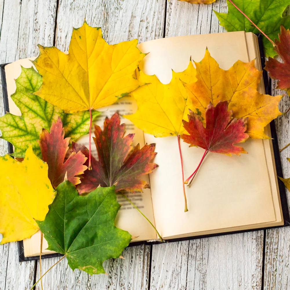 

50 Pcs Maple Leaves Artificial Flowers for Table Decor Silk Petals Fall for Weddings Events Kitchen Accessories Decoration Home