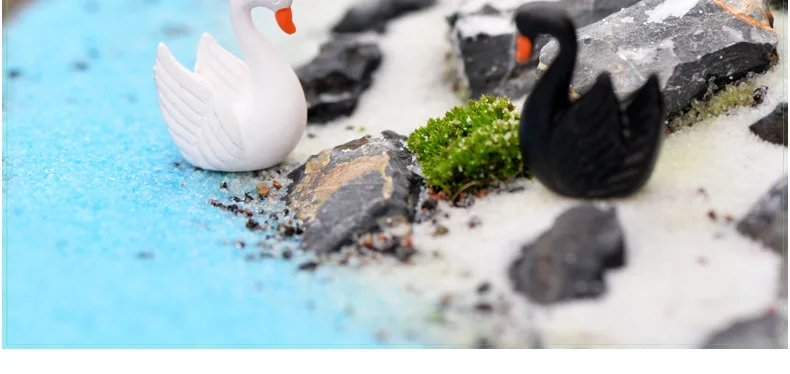 2537573272_394298364