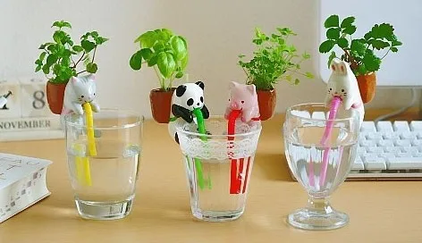 Home Decoration Mini Bonsai Free Shipping Water Absorption Small Home Decoration Mini Bonsai Free Shipping Water Absorption Small Desktop Potted Plant Office Creative Green