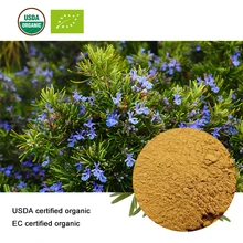 USDA и EC сертифицированный органический экстракт розмарина 10:1