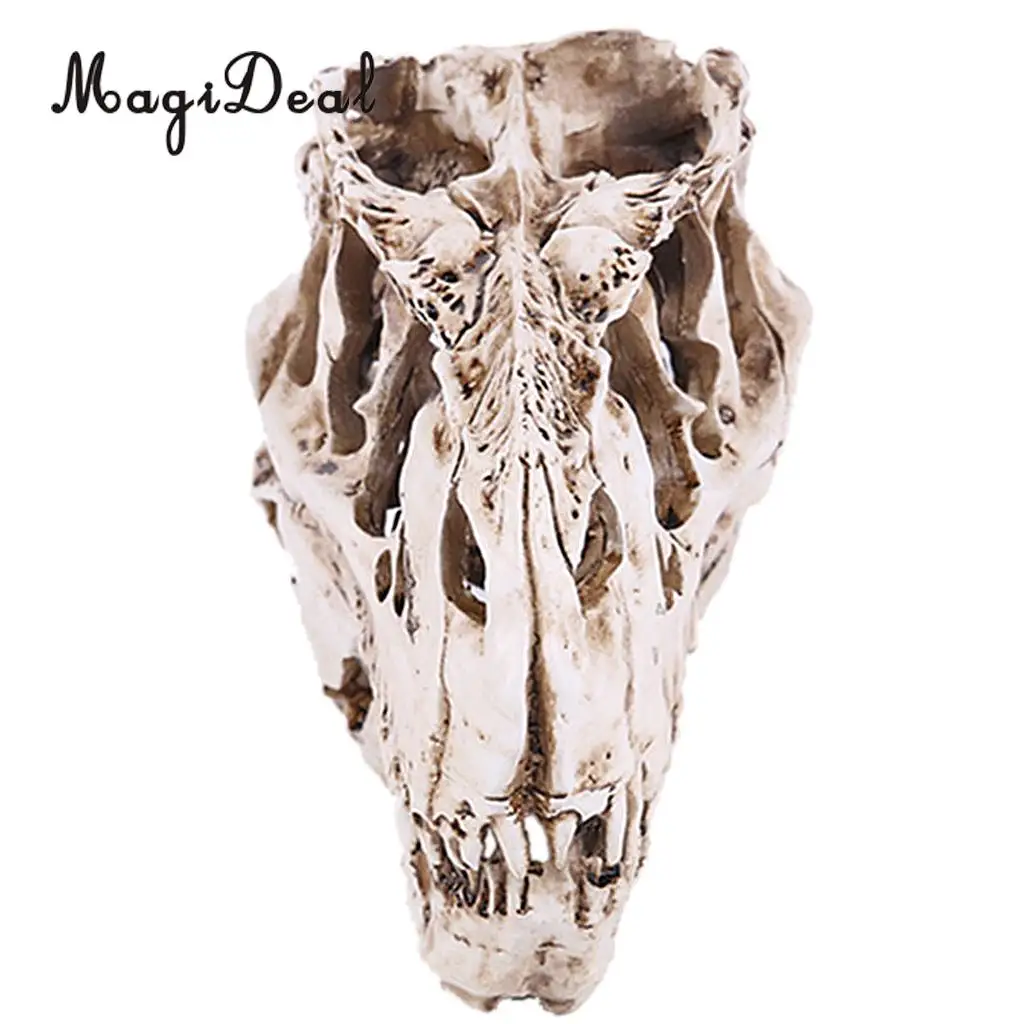 MagiDeal Resin T-rex Skull Replica Skeleton Figurine Collection for Medical teaching Bar Halloween Decoration White