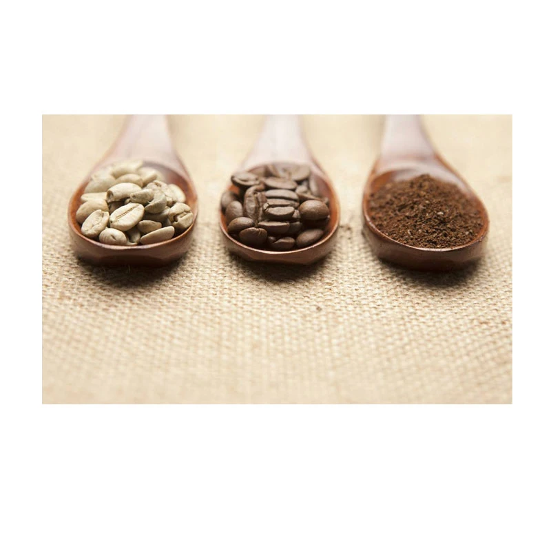 Coffee Beans Grinder Electric Burr Coffee Grinder High Quality Coffee Appliance Advanced Grinding System