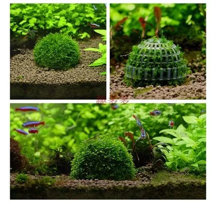 

Aquarium Fish Live Plant Tank Natural Mineral DIY Moss Ball Filter Filtration