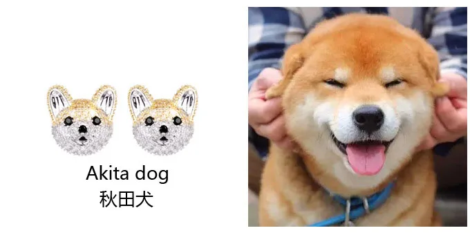 8502724929_280711842