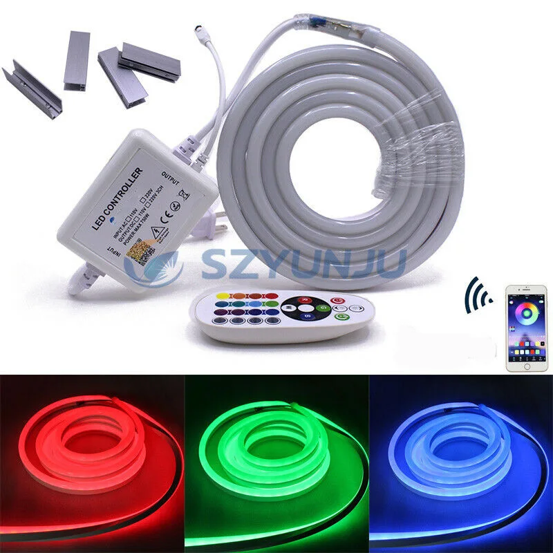 1-10 м 110В/220В 5050 60LED/м RGB светодиодные полосы неоновые огни IP67 водонепроницаемые с