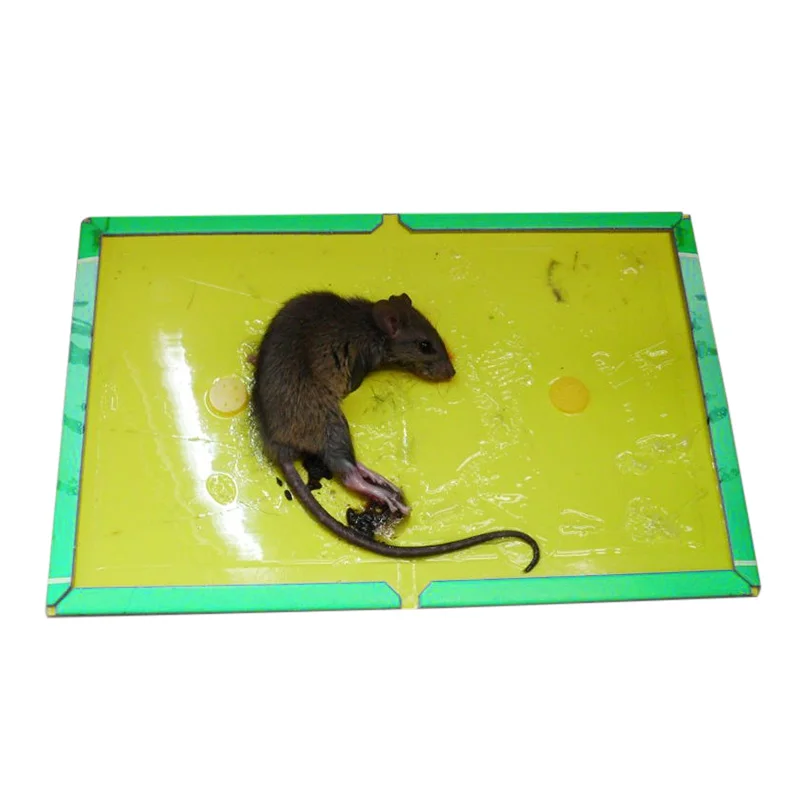 Mouse Rat Mice Sticky Traps Board Trapper Glue Catcher Non-toxic For Kitchen Home#3