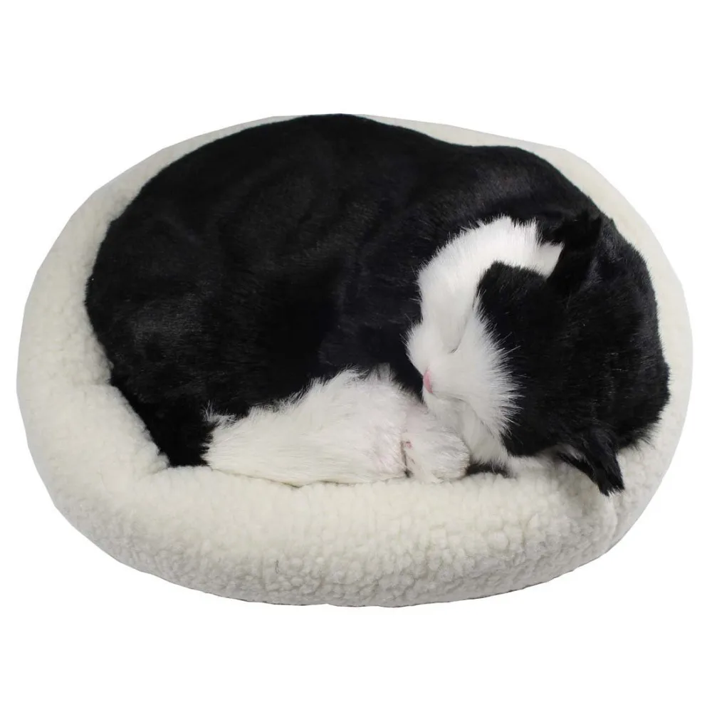 Breathing Cat Kitten Plush Toy with Bed, 10" in Movies & TV from Toys