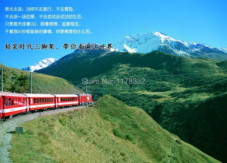 1_zps0e2226f5.jpg