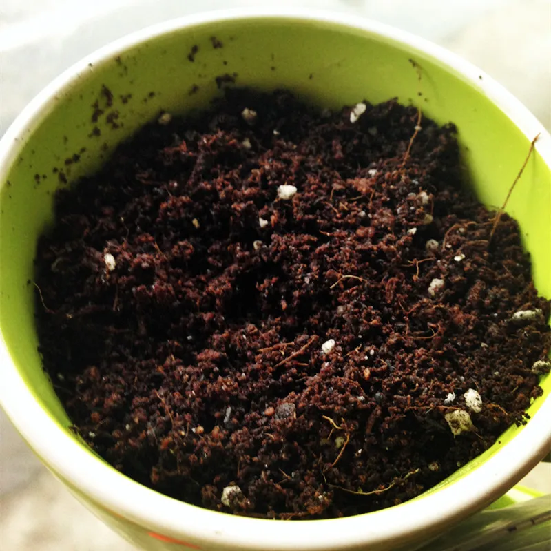50g Best S-e-e-d potted nutrition soil, containing microbial and trace elements, Nutritious, Sprout fast, fast emergence