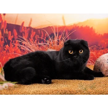

New 5D Diamond Embroidery Black cat DIY Diamond Painting Cross Stitch Full Square Diamond Mosaic Decoration Paintings gift ZF116