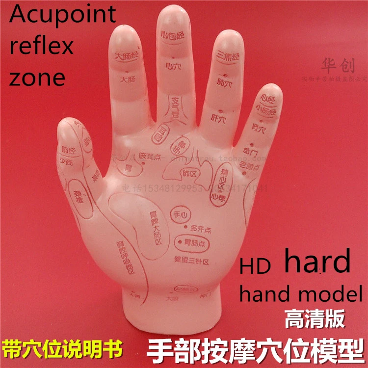 HD Human Acupuncture Palm hard Model Hand Medical teach Meridian Acupoint Model 15CM Traditional Chinese Medical Teaching Model HD Human Acupuncture Palm hard Model Hand Medical teach Meridian Acupoint Model 15CM Traditional Chinese Medical Teaching Model