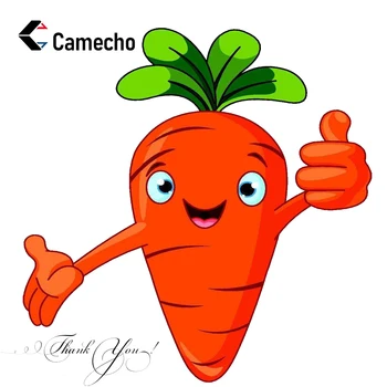 

Camecho Shippig fee