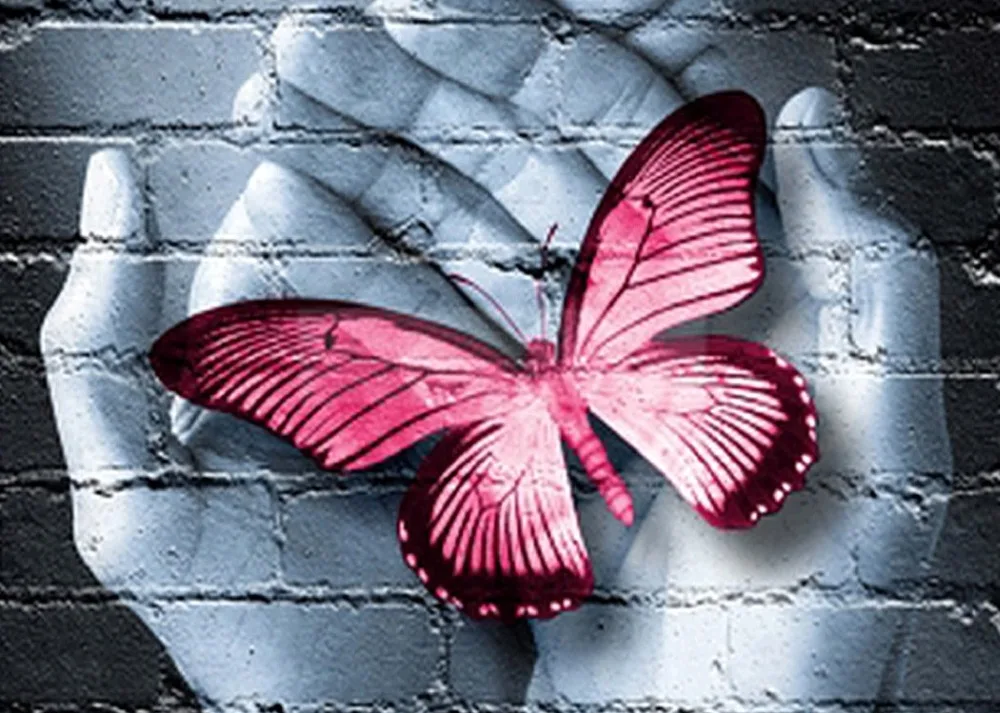 Diy 5d Diamond Painting Butterfly Broderie Diamant Schilderen