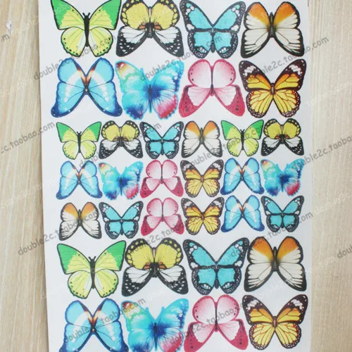 edible butterfly 10_