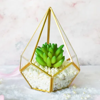 

Bonsai Irregular Glass Box Tabletop Succulent Glass Geometric Terrarium Box Planter Flower Pot Moss Ferns Miniature