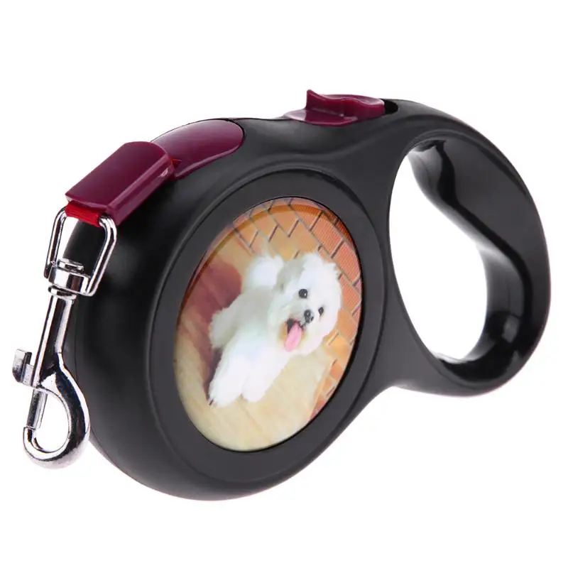 

5M/3M Dog Collar Leashes Dog Elastic Automatic Retractable Leashes For Dogs Harness Puppy Patrol Rope Walking Dogs