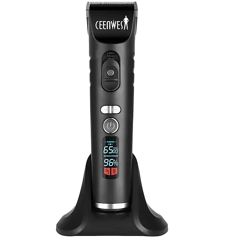 ceenwes website