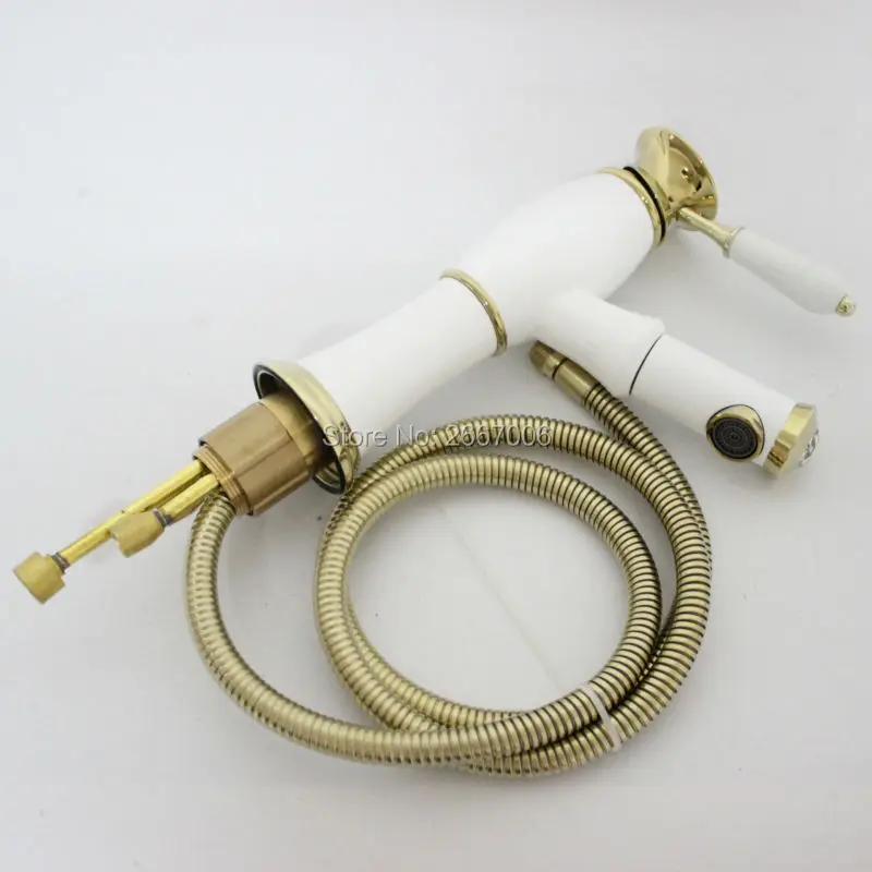 ZR584 (13)