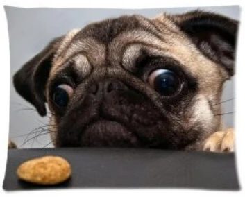 Galaxy Chat Hipster Theme Drole Chien Porter Couleur Lunettes De Soleil Souple Personnalise Rectangle Taie D Oreiller Taie D Oreiller Couvre 40x60 Cm Un Cote Aliexpress