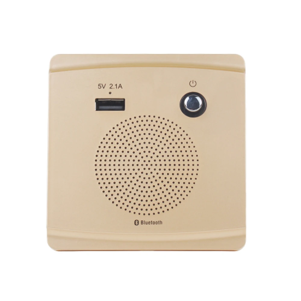 E2847-Wall Bluetooth Speaker-champagne