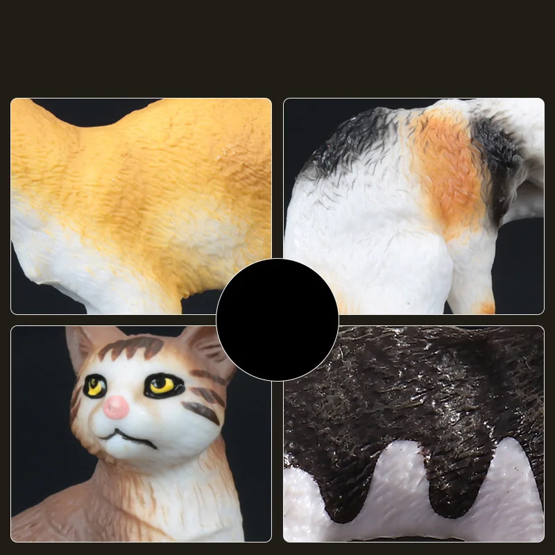 4804040824_1085278937