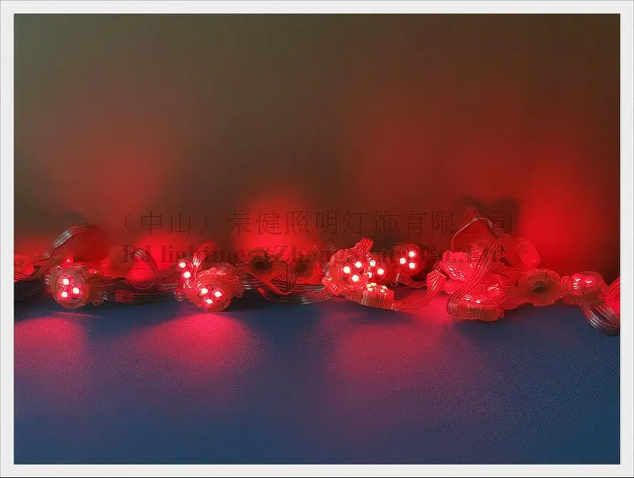led pixel light source module 3cm transparent cover (10)