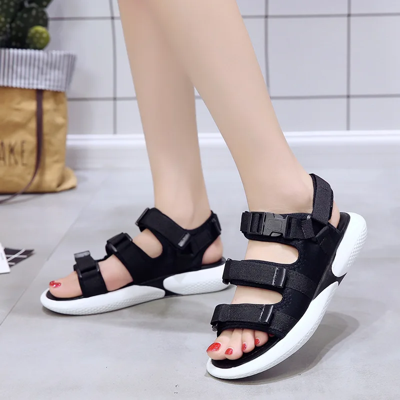 9054428518_502893978