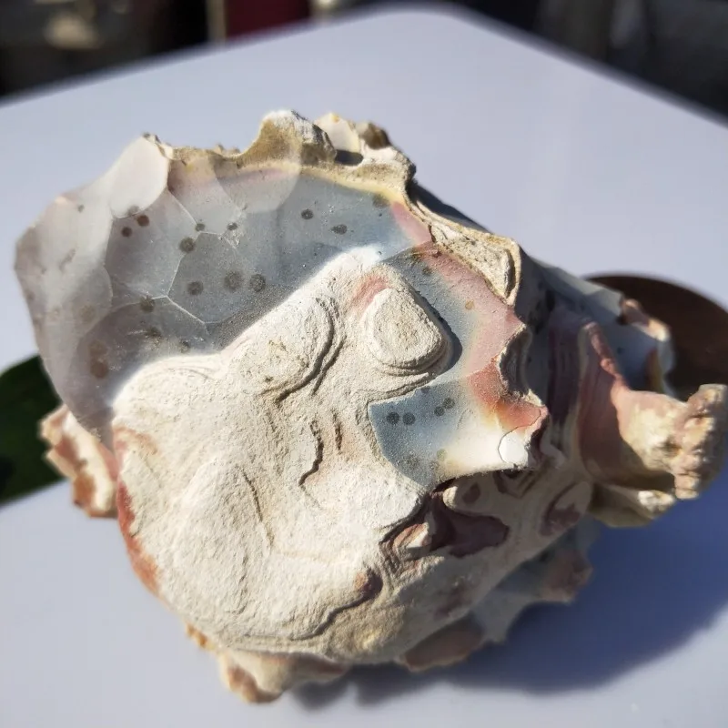 conew_img20190314094424