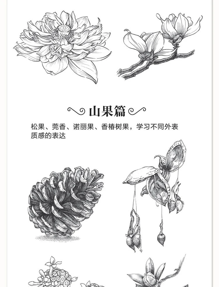 20180701_170900_042