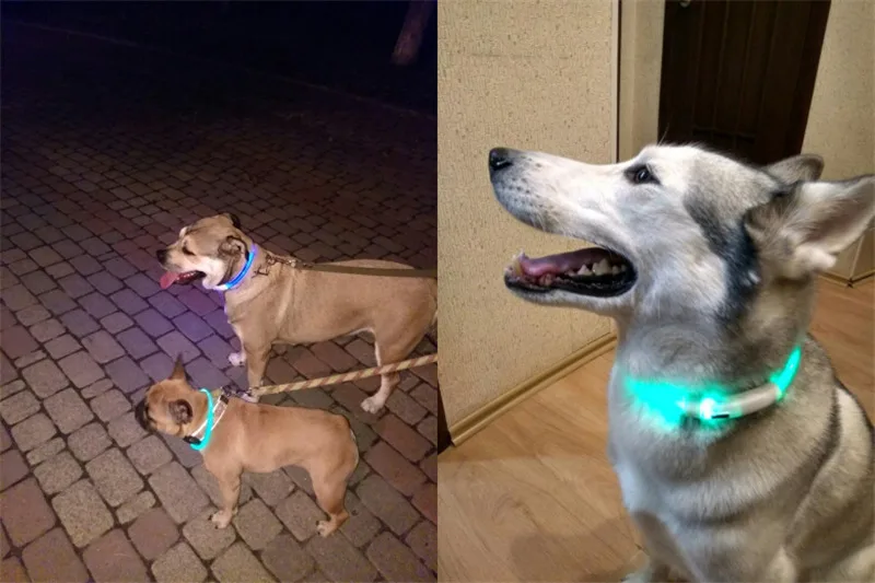 Usb зарядка Регулируемый ошейник для собак светодиодный перезаряжаемый ночной мигающий светящийся ошейник для собак пластиковый однотонный ошейник для собак