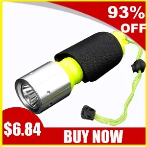 led flashlight (4)
