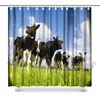 

Holstein Cows in the Meadow Bathroom Shower Curtain Accessories, 72 Inches Extra Long