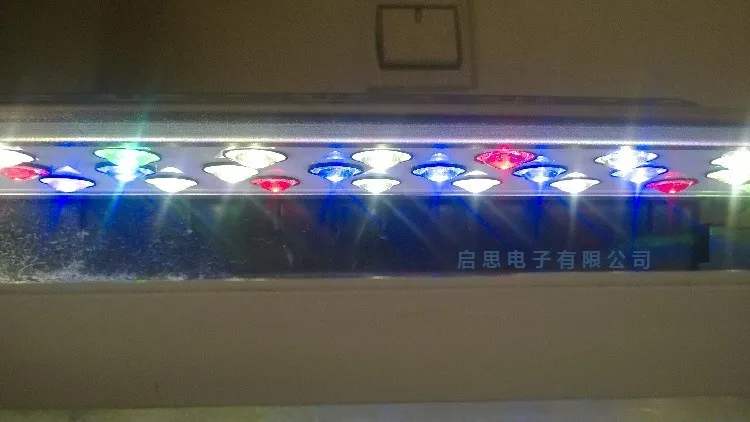 0000