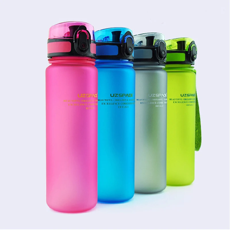 European Style Easy Carry 500ml Drinking Water Bottle High Quality BPA