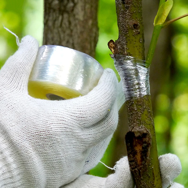 

BIO-degradable Nursery Grafting Tape Stretchable Self Adhesive Tree Plant Garden Transparent PVC Tape 3cm/6cm/10cm