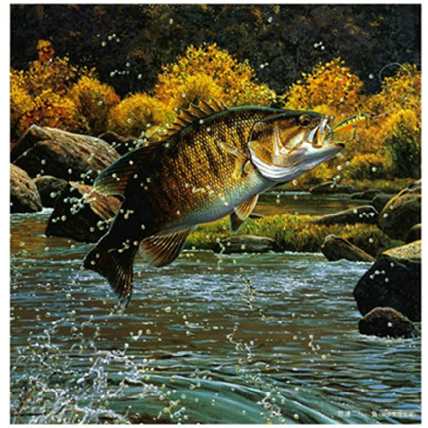 HTB1HQ_Ehv6H8KJjy0Fjq6yXepXa3