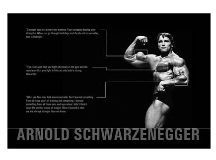 Cool Schwarzenegger Classical Stylish Custom Fashion Tatoo On Wall Poster Print Size(40x60)cm Sticker Free Shipping U1-110 | Дом и сад