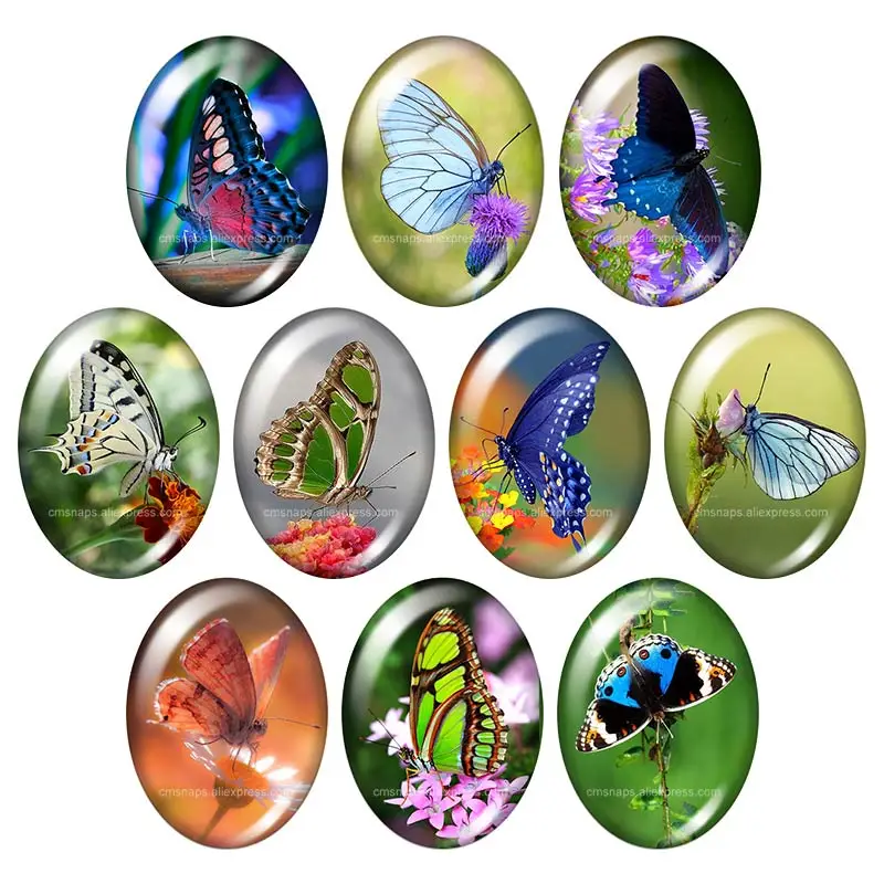 

Beauty Fashion Butterfly 13x18mm/18x25mm/30x40mm mixed Oval photo glass cabochon demo flat back Jewelry findings TB0129