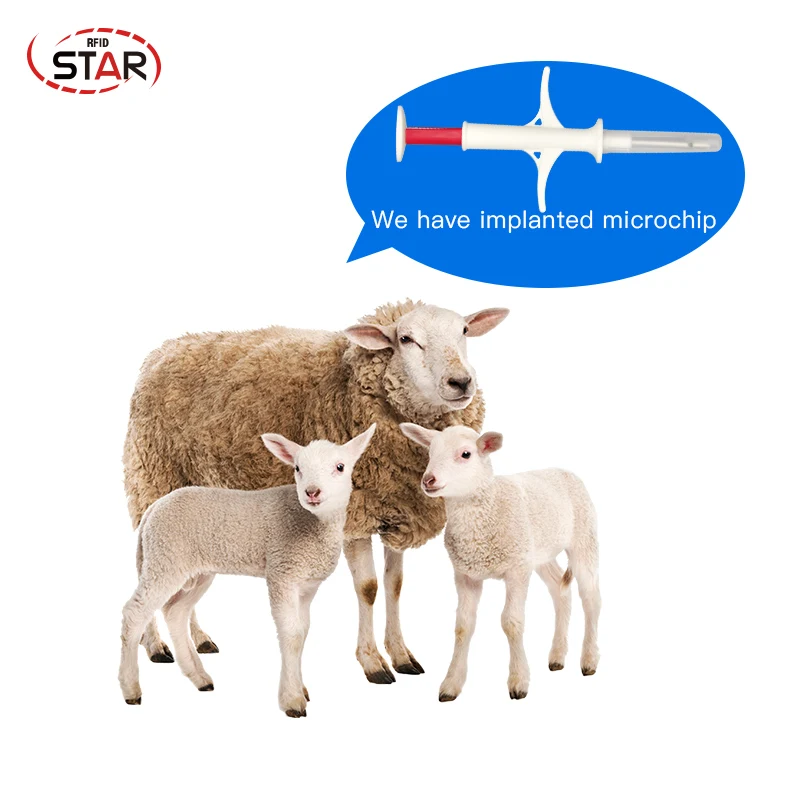 

2.12*12mm Microchip RFID Syringe Plastic Injector for animals identifications tag SET X40