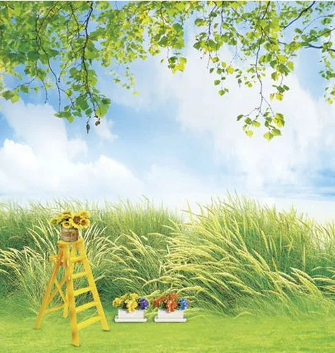 Unduh 6200 Koleksi Background Hijau Rumput Paling Keren