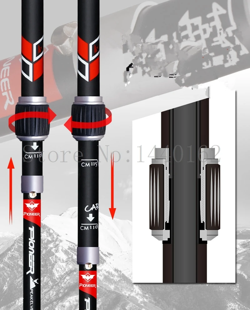 TP063 walking sticks (3)