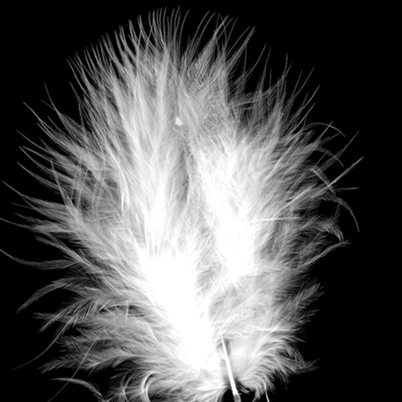 20171014_154005_005