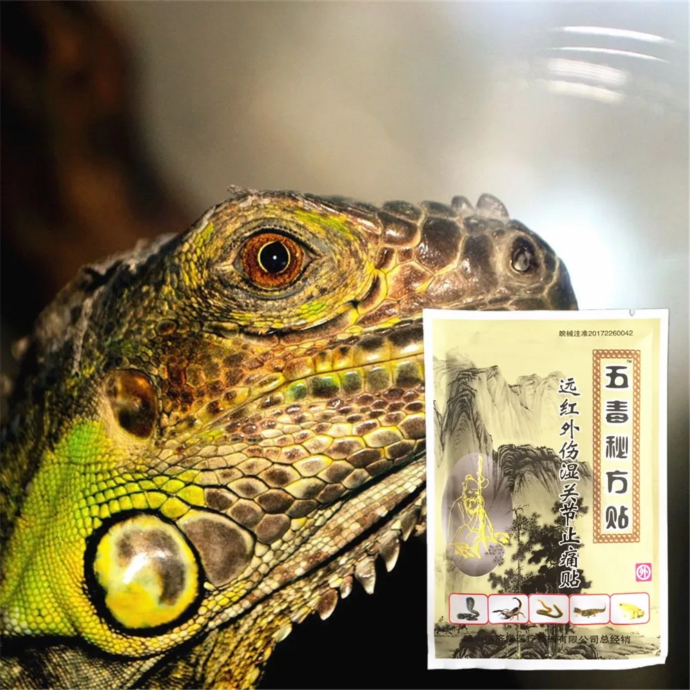 

MIYUELENI Lizard venom Analgesic Creams Active Meridians Essential oil Paste Rheumatoid Arthritis Lumbar Cervical Plasters 1Pcs