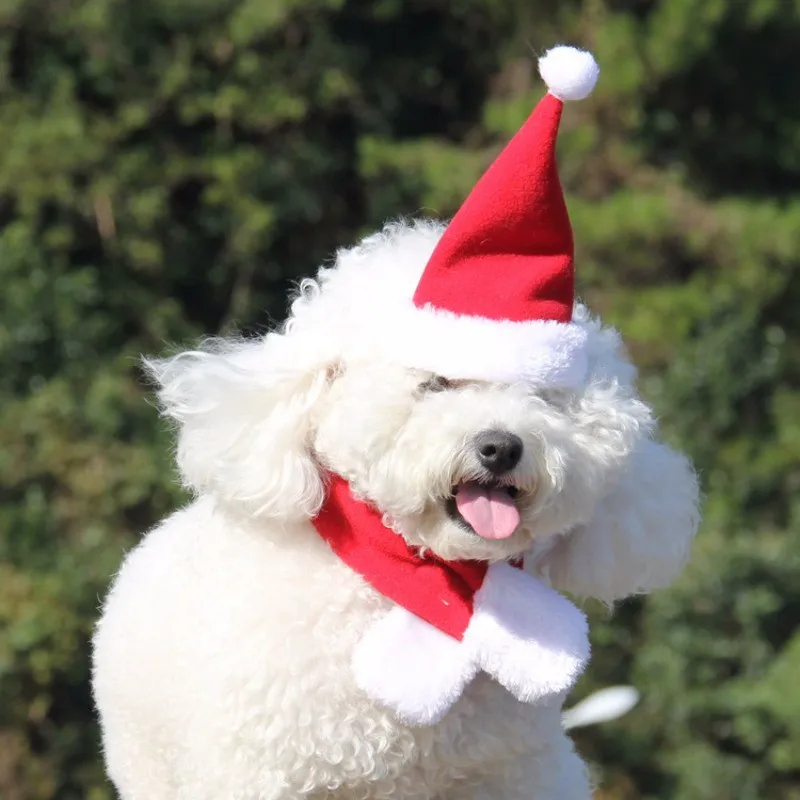 Новогодний для домашних собак комплект одежды наборы шапка с шарфом зимние шапки для щенка кошки аксессуары