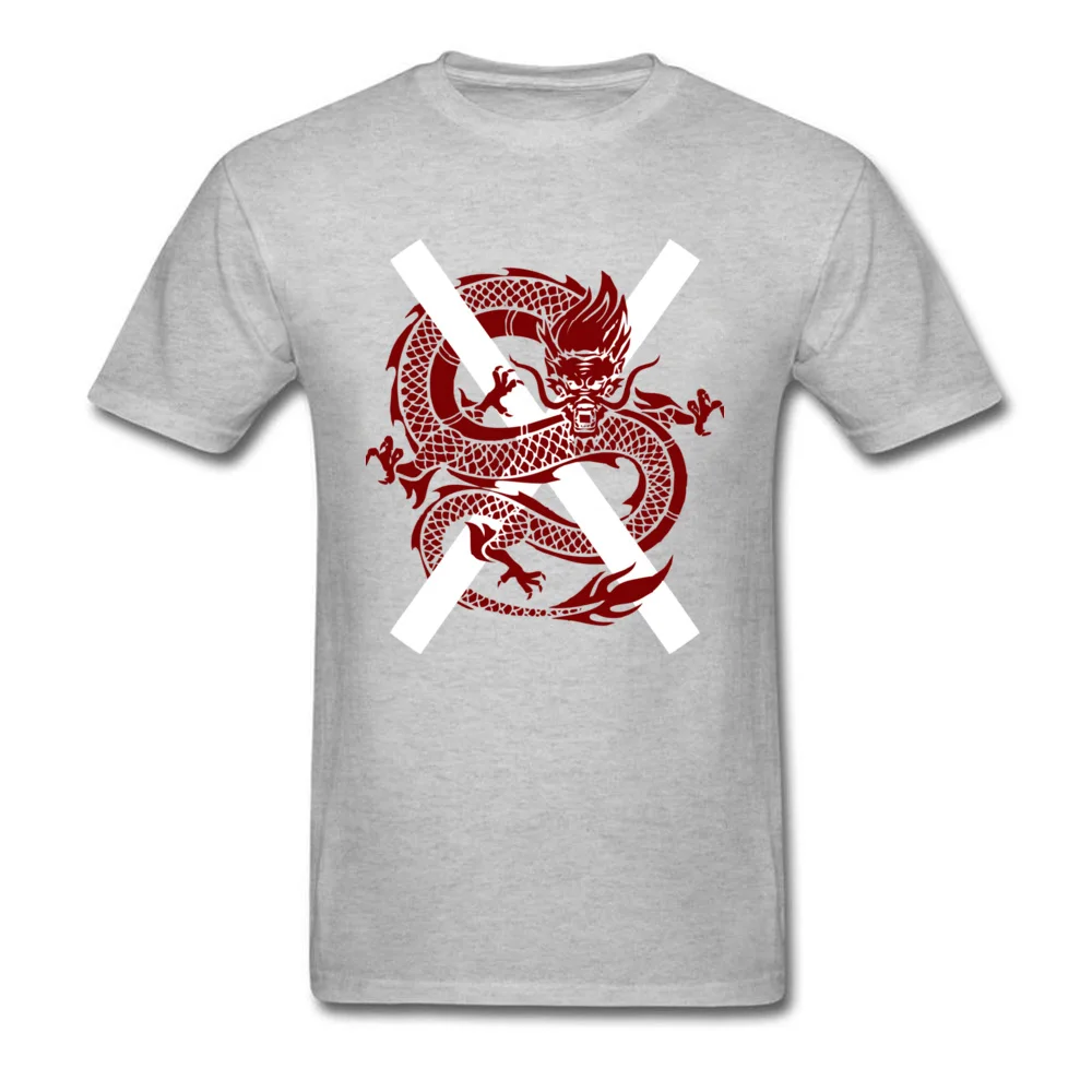Ja[anes Dragon 2017 - 2018_grey