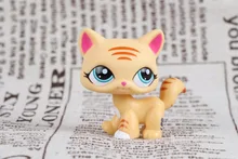 New pet Genuine Original LPS 1572 Yellow tiger Stripe Cat Blue Eyes Collection figure font b