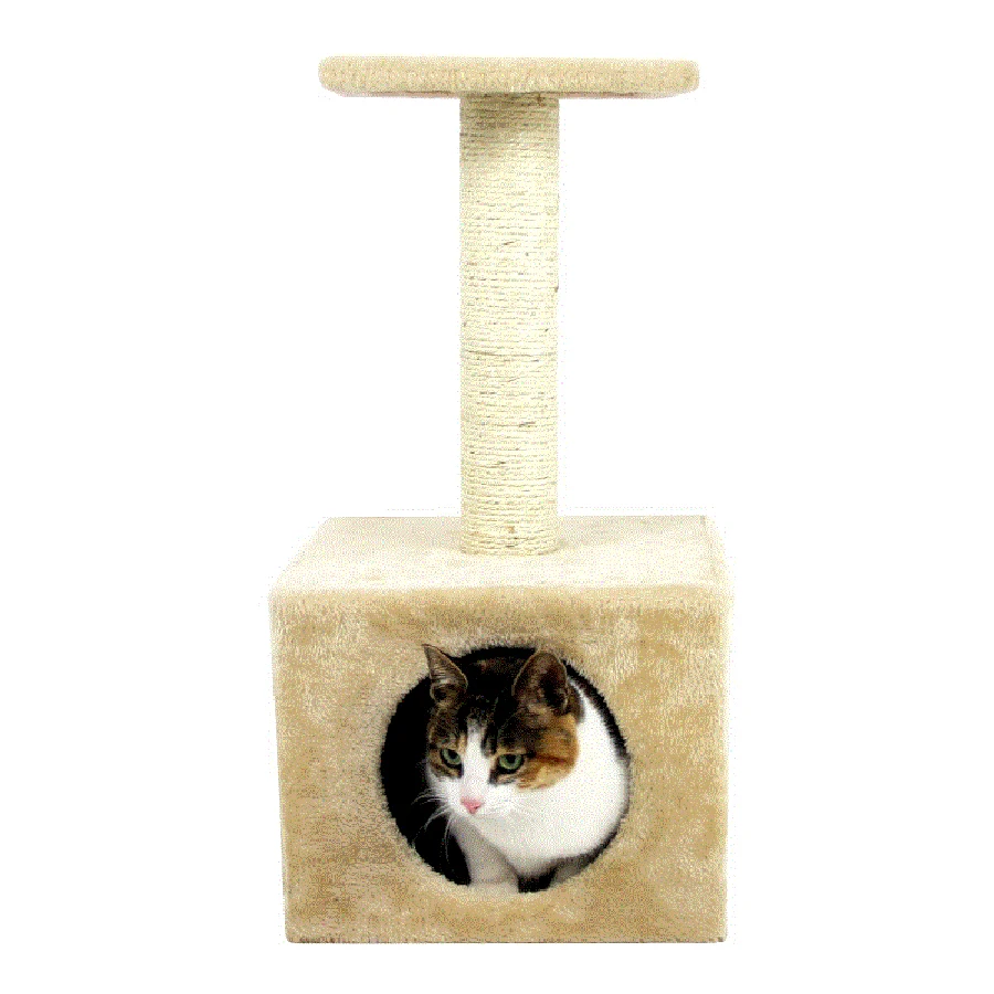

Toy Feather Cat Toys Interactive Pet Funny Kitten Toys Supplies Cat Products Pet Sisal Gatitos Training Jeux Cats Toy 50Z1566